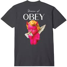 Image result for +obey +gravity t-shirt