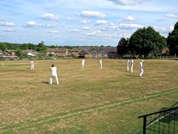 Image result for Chichester Priory Park Cc