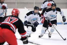 Image result for Abingdon Hockey Club