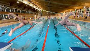 Image result for Stortford Divers