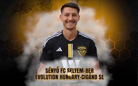 Image result for sényő