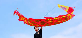 Image result for BARNET and WHETSTONE CHANGQUAN FLYING DRAGON