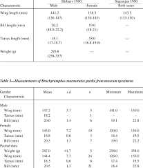 Image result for Brachyramphus perdix