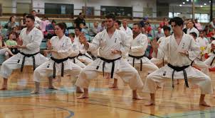 Image result for GoJu-Kai Karate Club