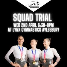 Image result for Aylesbury Gymnastics Club