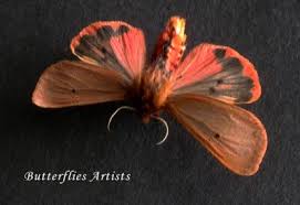 Attēlu rezultāti vaicājumam “Phragmatobia fuliginosa”