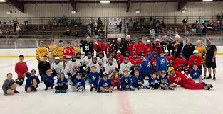 Image result for Lysander Badminton Club