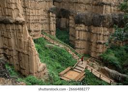 「parque los chor」の画像検索結果