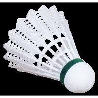 Image result for Thame Shuttles Badminton Club