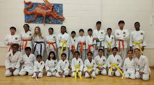 Image result for Epsom & Ewell Karate Club