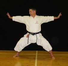 Image result for Redhill Karate Association