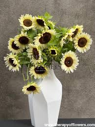 Image result for Helianthus annuus