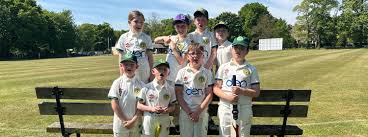 Image result for Saltwood Cricket Club