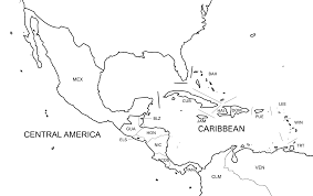 Attēlu rezultāti vaicājumam “Stemonitopsis subcaespitosa macro”