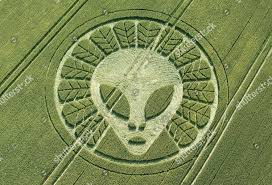 Image result for crop circle