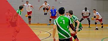 Image result for The Dodgeball Company