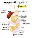 <b>Spasme</b> de l'<b>oesophage</b>