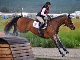 Image result for Fisher Equestrian
