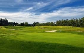 Image result for The Alt Golf Club