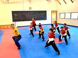 Image result for Shaolin Ancestors kung Fu School