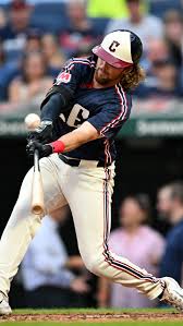 Image result for Schneemann