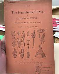 Attēlu rezultāti vaicājumam “Buxbaumia aphylla sporophyte”