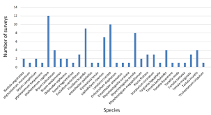 Attēlu rezultāti vaicājumam “Bryum neodamense”