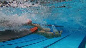 Image result for Swindon Amateur Swimming Club