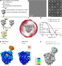 Image result for The 3E`s Ttc