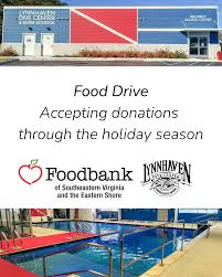 Image result for 243 Diving Club