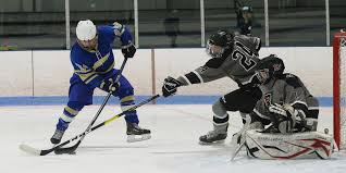 Image result for Norton Cyclones Skater Hockey Club