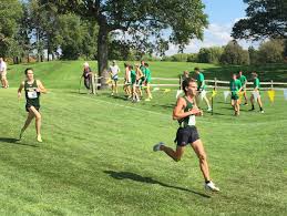 Image result for Abbey Runners