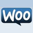 WooThemes