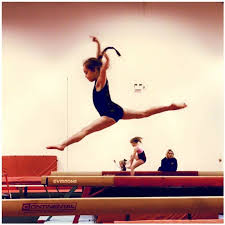 Image result for Redcar Gymnastics Club