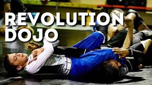 Image result for Revolution Dojo
