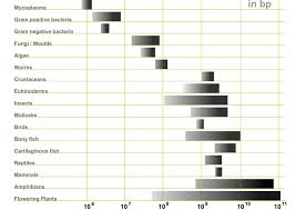 Image result for genome sizes