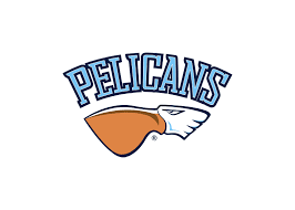 Image result for Pelicans Hockey Club