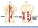 Core Muscle Strength – My New Favorite Core Exercise