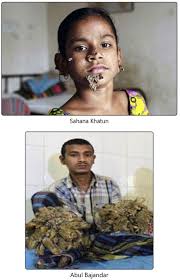 Image result for Lewandowsky-Lutz