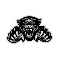Image result for Bury Jaguars Hockey Club