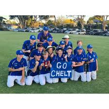 Image result for Cheltenham Cc
