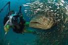 scary underwater