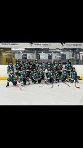 Image result for Oxford City Stars Ice Hockey Club