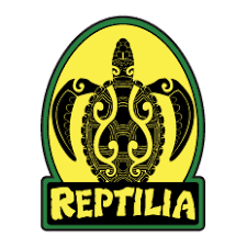 Attēlu rezultāti vaicājumam “Reptilia”