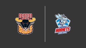 Image result for Rochdale Hornets