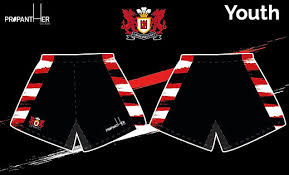 Image result for Llangennech Rfc