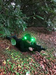Image result for Cenarth Laser Combat