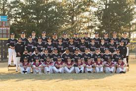 Image result for Hessle Baseball Club