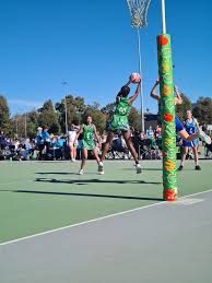 Image result for Newdigate Netball Club