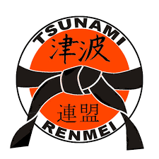 Image result for Tsunami Karate Club